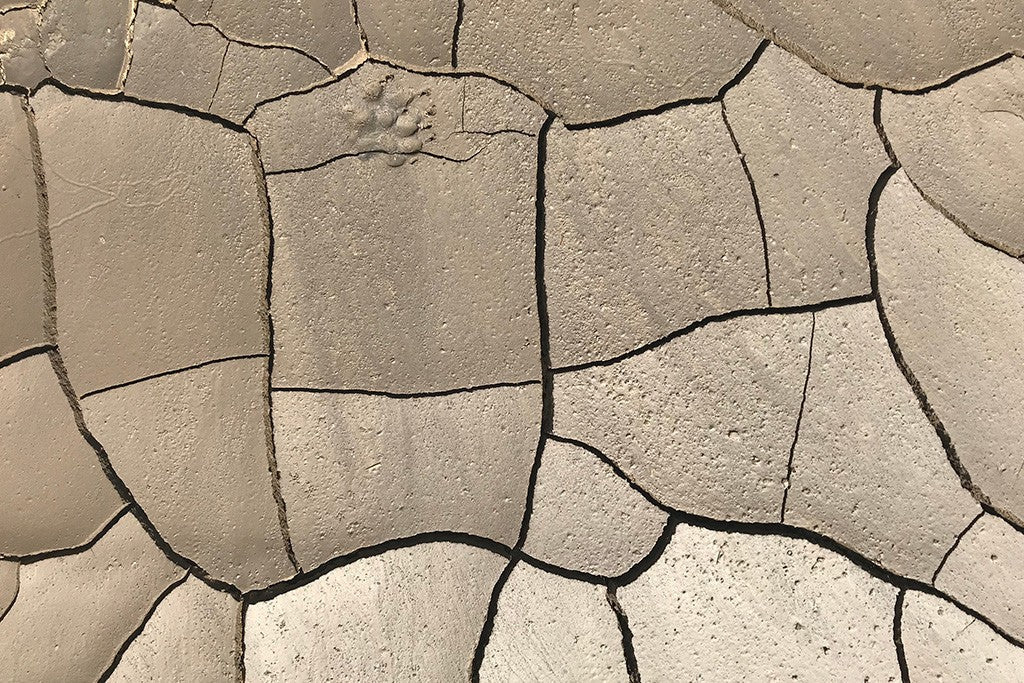 Todo lo que tienes que saber sobre las mascarillas de arcilla